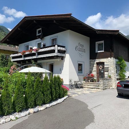 洛弗附近圣马丁Haus Caecilia公寓 外观 照片